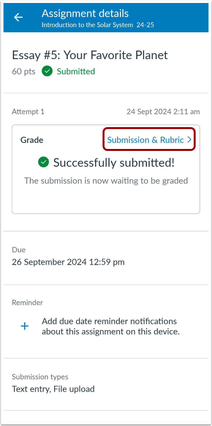 View Submission Feedback