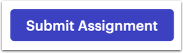 Submit Assignment