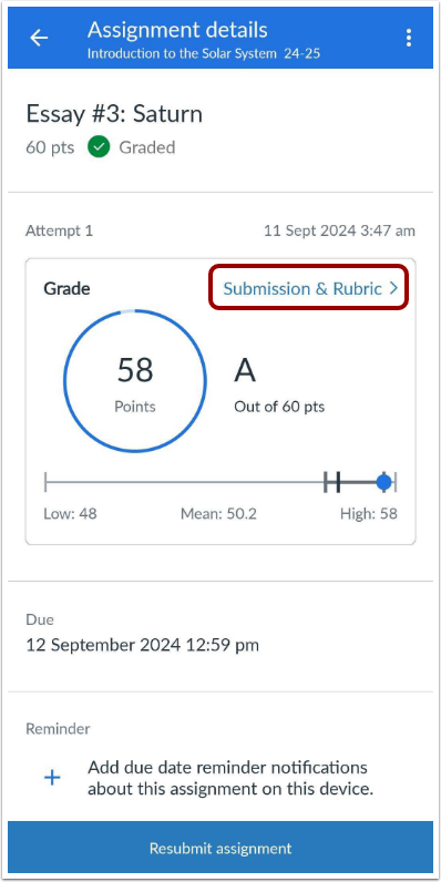 Open Submission and Rubric
