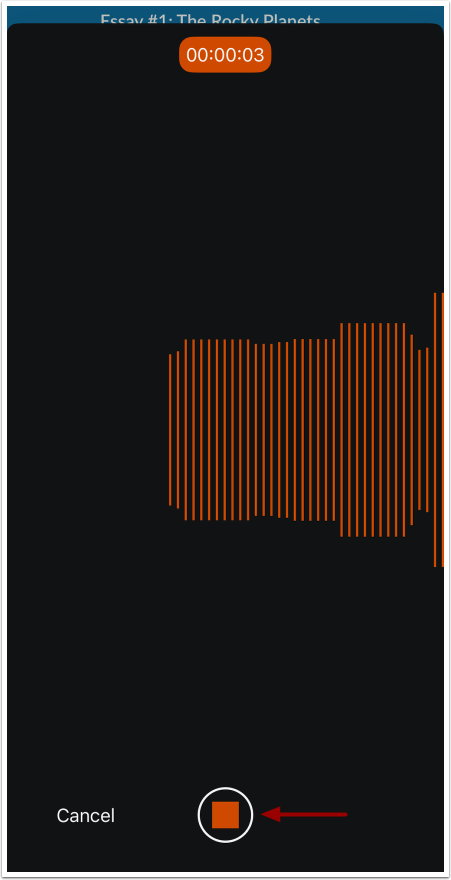 Stop Audio Recording