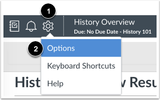 Open SpeedGrader Options