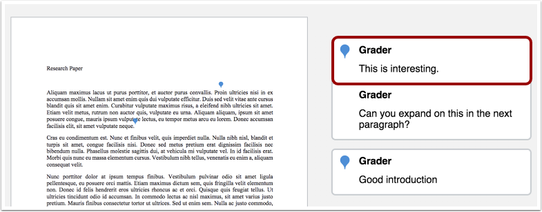 View Anonymous Instructor Comments