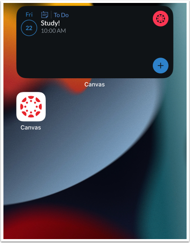 View Widget