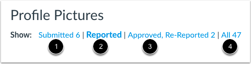 View Profile Pictures