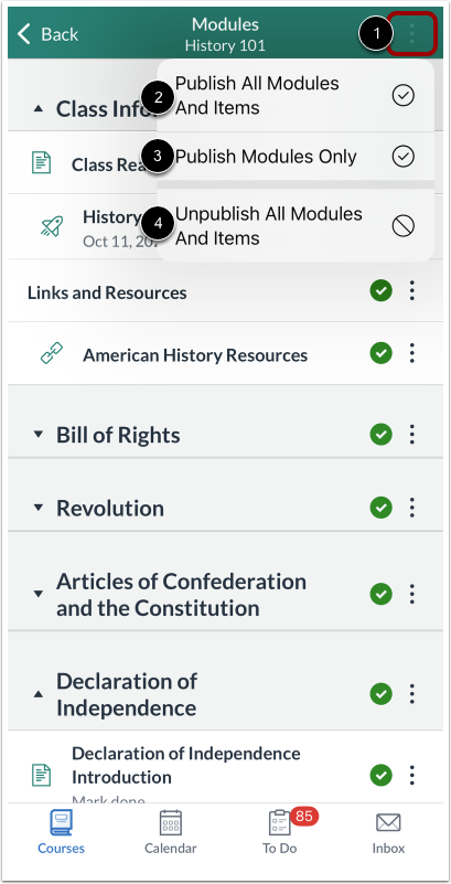 Bulk Publish and Unpublish All Modules