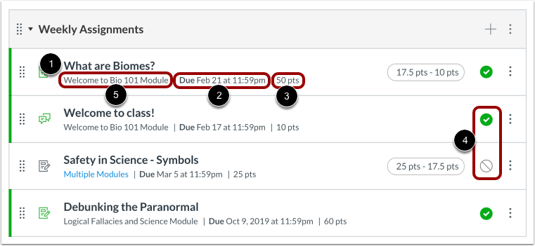 View Individual Assignment