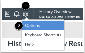 Open SpeedGrader Options