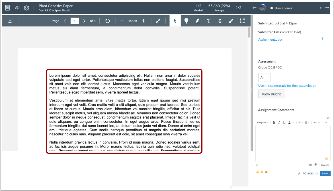 View Student Submission