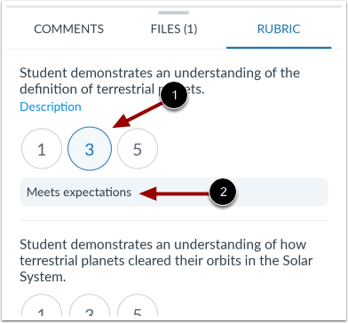 View Criterion Rating