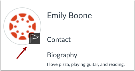 Report Profile Picture