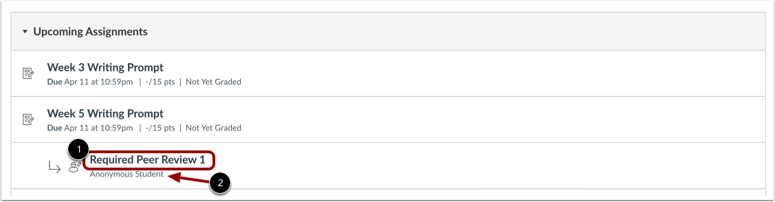 View Peer Review Assignment