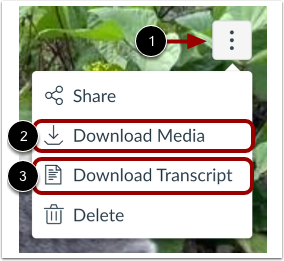 Download media or transcript file