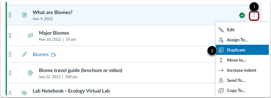 Duplicate Module Item