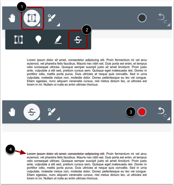 Add Strikeout Text Annotation