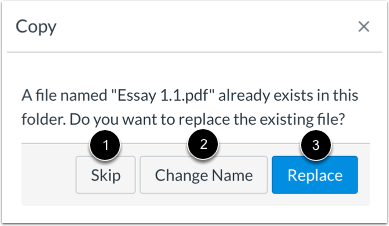 Replace Duplicate File