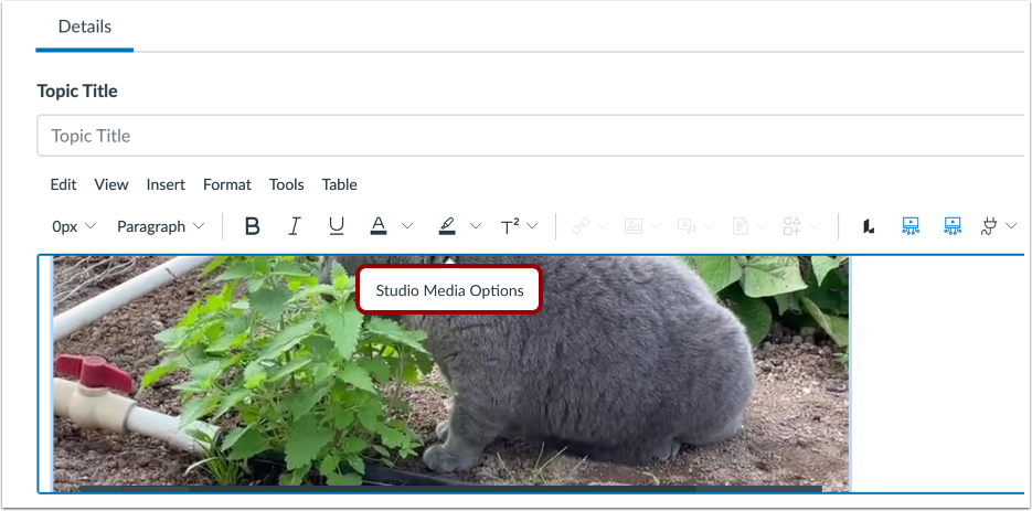 Open Studio Media Options