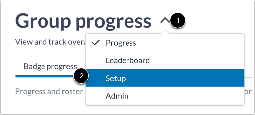 Adjust Setup Details
