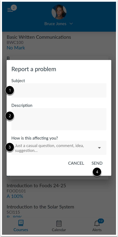 Create Report