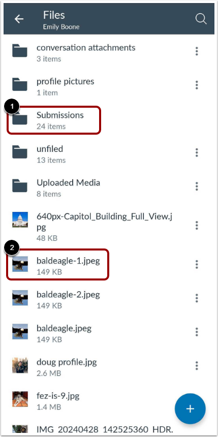 View Files and Folders