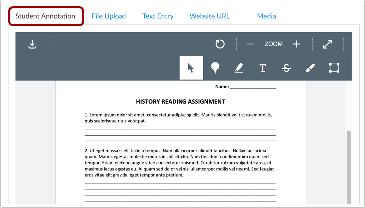 Submit Student Annotation