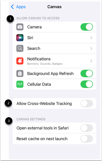 View Canvas App Settings