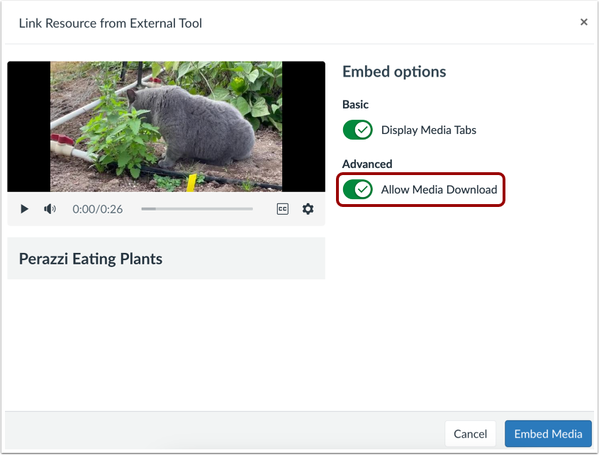 Embed Internal Media