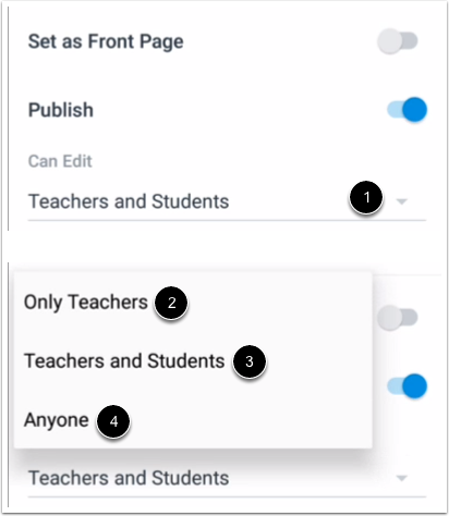 Select Editing Option