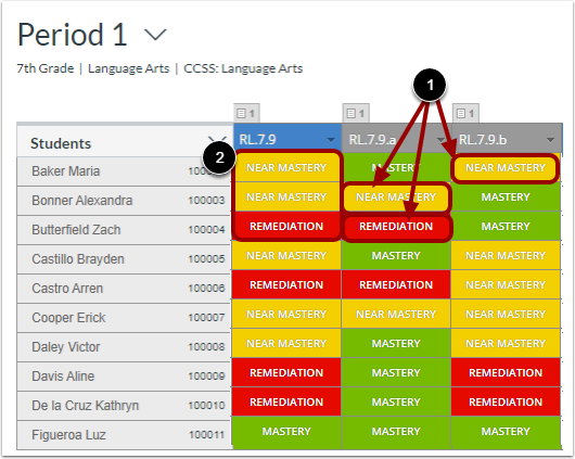 View Multiple Sub-Standards Mastery