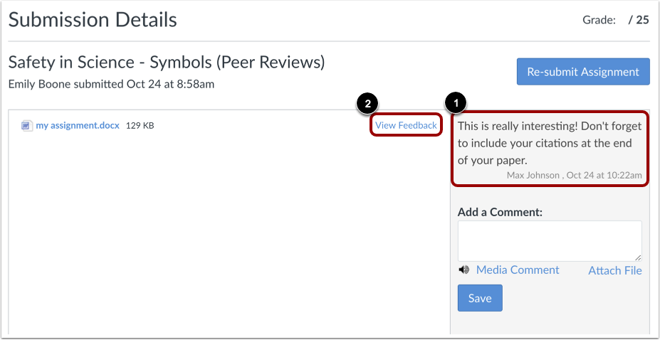 View Submission Details Page