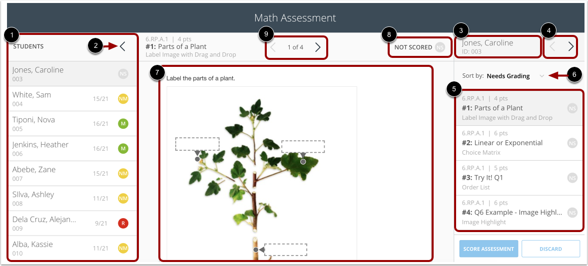 Viewing Item-Based Assessment
