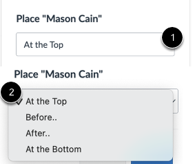 Placement Drop-down menu
