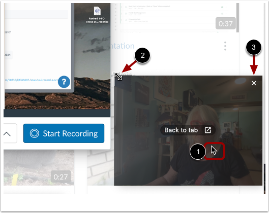 Manage picture-in-picture