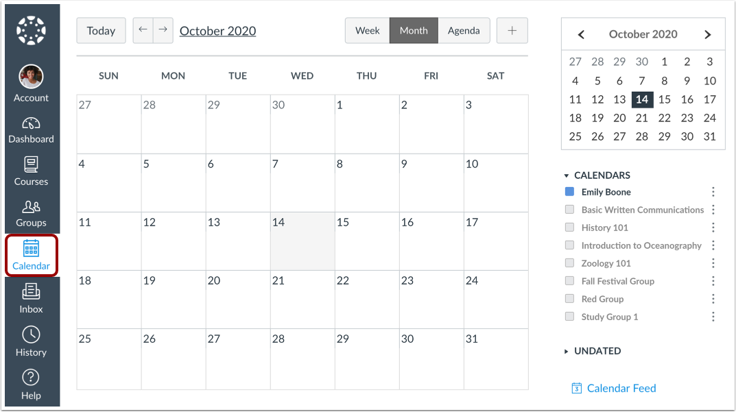 View Calendar
