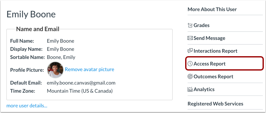 Review Student Access Report