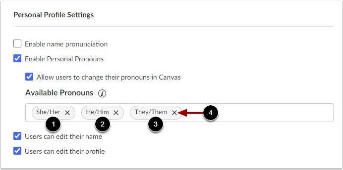 View Pronoun Options