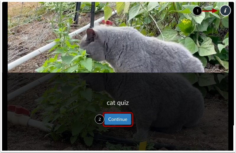 View Quiz Details