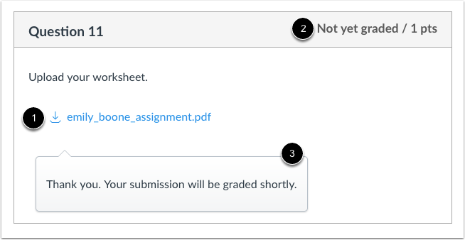 Student View of File Upload Submission