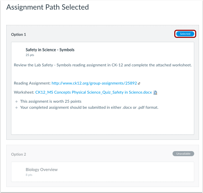 View Selected Assignment