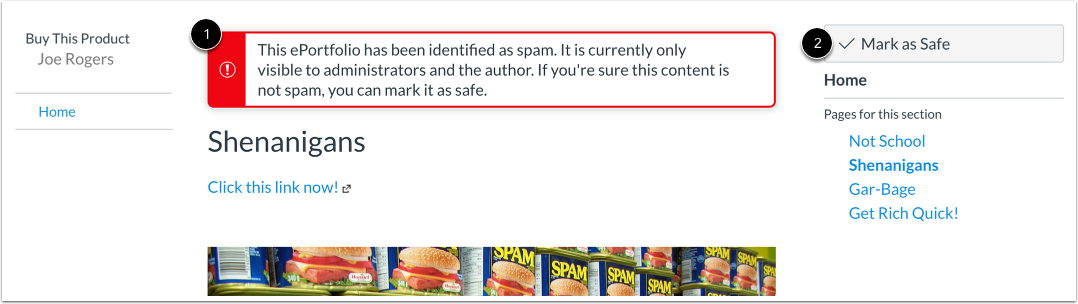 Shenanigans: Home: Buy This Product