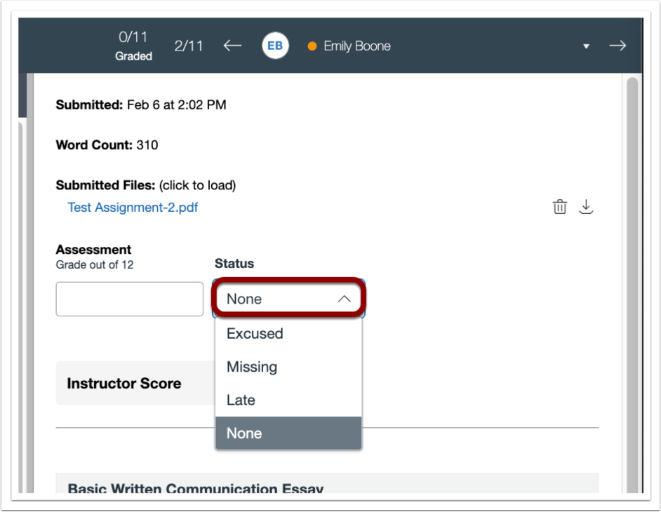 View Group Submission wtih Individual Grades
