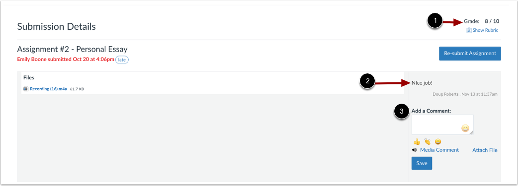 View Assignment Feedback and Leave Comments