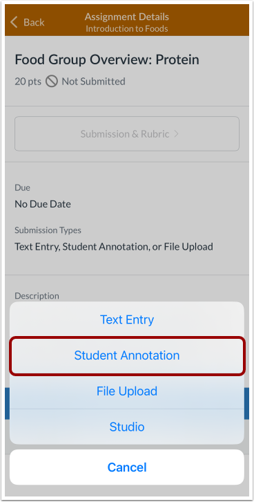 Open Student Annotation