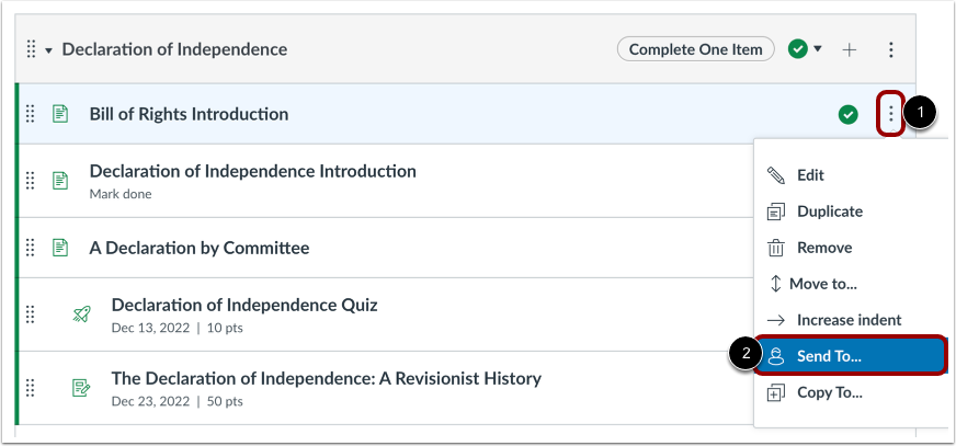 Open Module Item Options