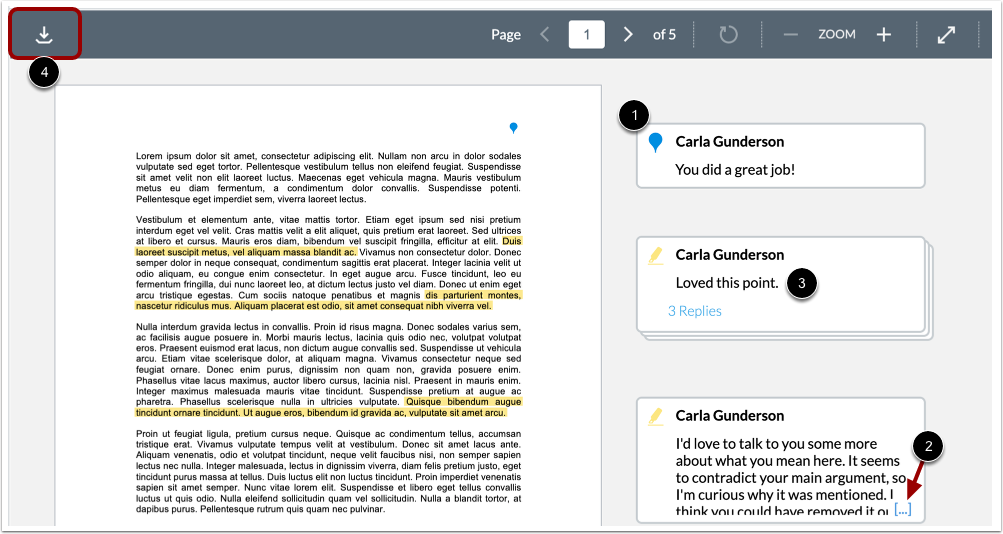 View Annotated Feedback