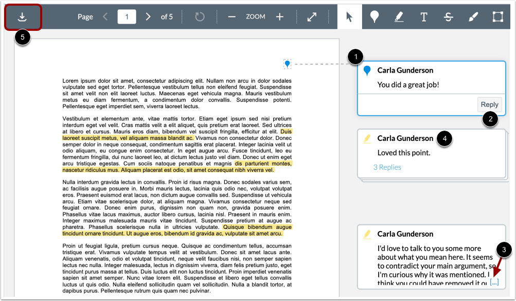 View Annotated Feedback