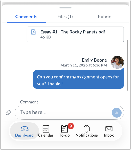 How do I make a comment about an assignment in the Canvas app on my iOS ...