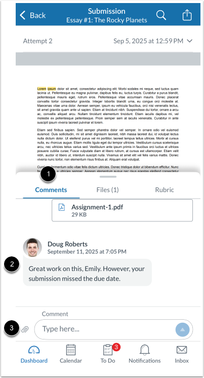 View Submission Comments