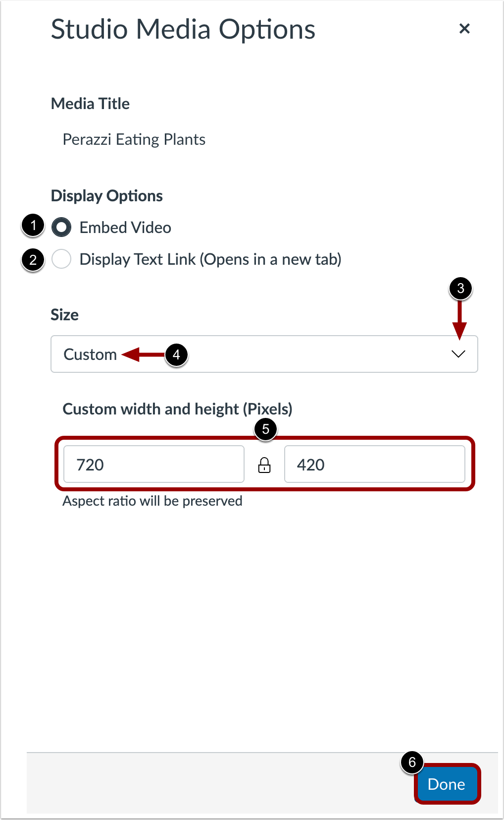 Studio Media Options Tray