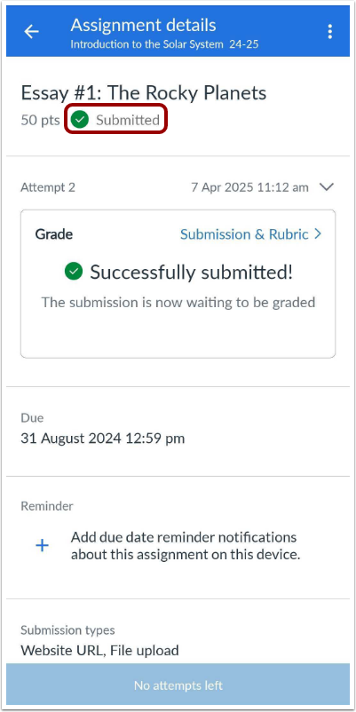 View Assignment Submission Details