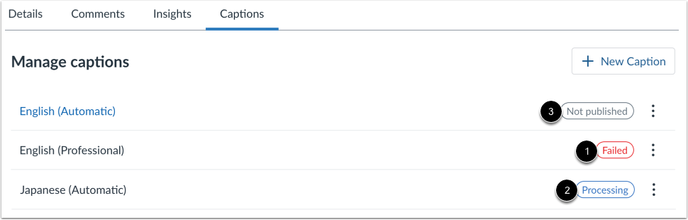 View Queued Caption Request